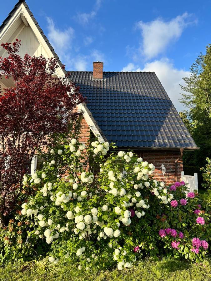 Apartamento Louf Wiesmoor Exterior foto